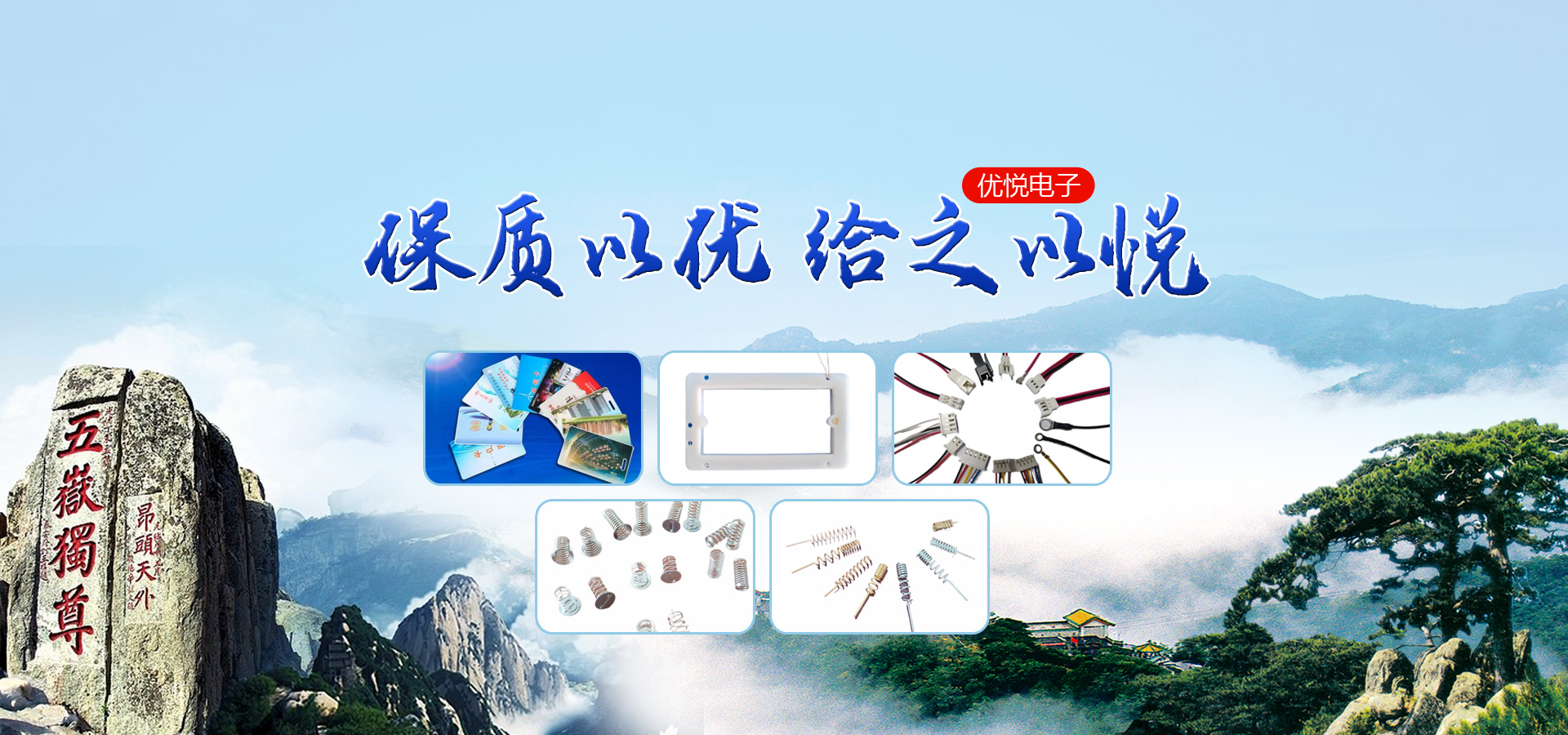 泰安市优悦电子科技有限公司 