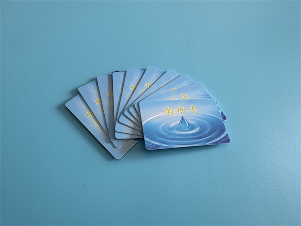 2026_03_13_10_11_img_5063