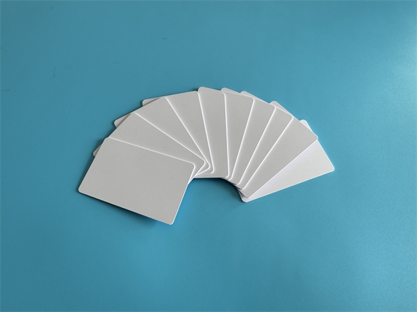 2026_03_13_10_17_img_5077