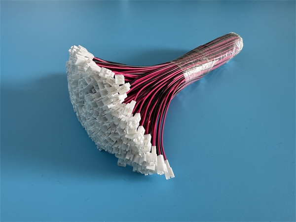 2026_03_13_10_55_img_5129