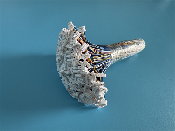 2026_03_13_10_56_img_5133