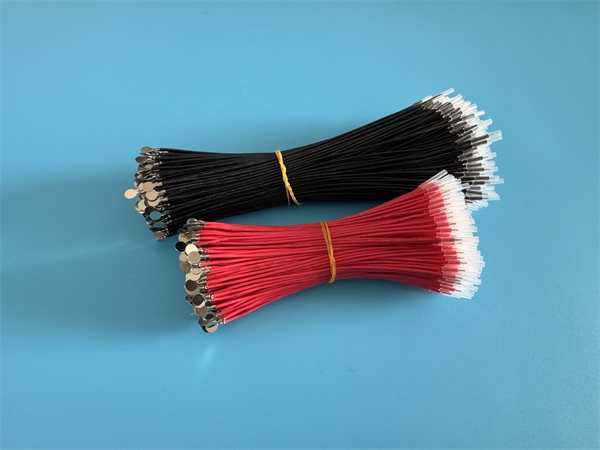 2026_03_13_10_58_img_5137