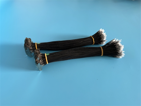 2026_03_13_10_59_img_5139