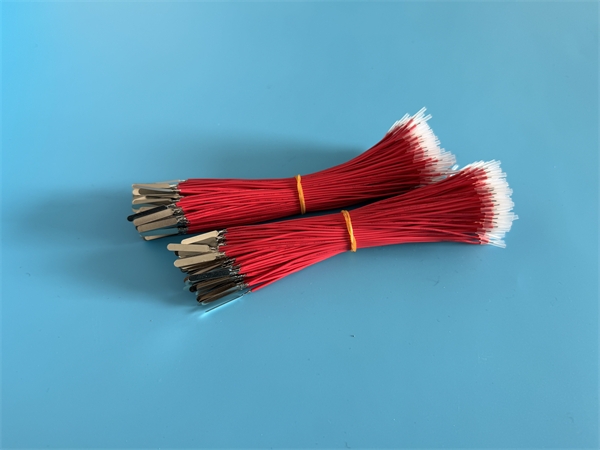 2026_03_13_11_00_img_5141