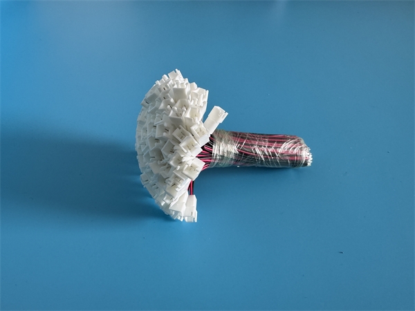 2026_03_13_11_06_img_5144