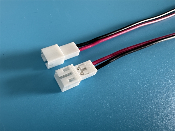 2026_03_13_11_15_img_5161