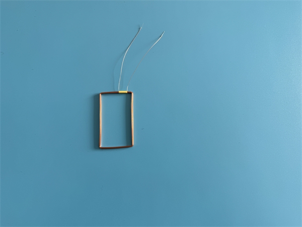 2026_03_13_10_22_img_5085