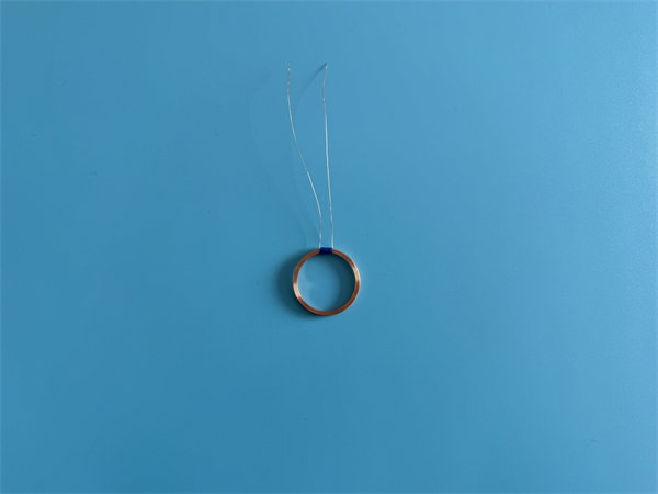 2026_03_13_10_24_img_5098